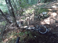 SAM_4249_800x600.JPG