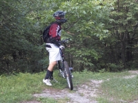 SAM_4251_800x600.JPG