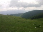 tn_19062011443.jpg