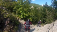 Senza nome-7_800x449.jpg