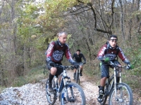 IMG_0660_800x600.jpg