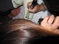 IMG_9859_800x600.JPG