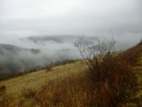 P1030787_800x600.JPG