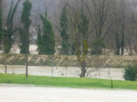 P1030795_800x600.JPG