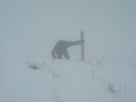 20091228_Catria_34.jpg