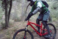 SAM_7762_800x533.JPG