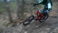 SAM_7786 015_800x450.jpg
