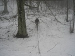 20091228_Catria_43.jpg