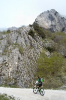 SAM_7914_400x600.JPG