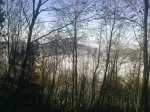20112011850.jpg