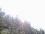 20112011855.jpg