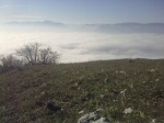 20112011872.jpg