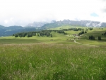 2014_07_13_AlpeSiusi_9.JPG