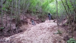 Treia_16.jpg