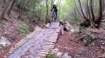 Treia_17.jpg
