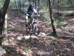 IMG_4604_800x600.JPG