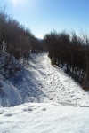 SAM_9865_400x600.JPG