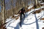 SAM_9906_800x533.JPG