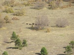 20111127-IMG_5799.jpg