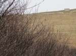 IMG_5933_800x600.jpg