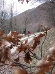 IMG_5941_800x600.jpg