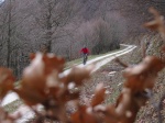 IMG_5940_800x600.jpg