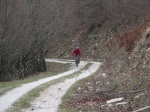 IMG_5939_800x600.jpg