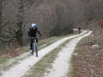 IMG_5946_800x600.jpg