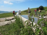 tn_img_3799.jpg