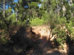 IMG_6074.jpg