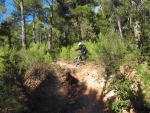 IMG_6073.jpg