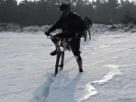 IMG_6390_800x600.jpg