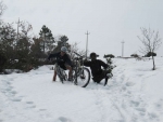 IMG_6409_800x600.jpg