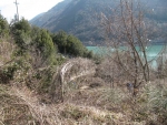 IMG_6484_800x600.jpg