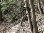 IMG_6503_800x600.jpg