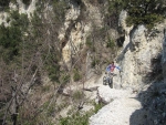 IMG_6494_800x600.jpg