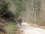 IMG_6514_800x600.jpg