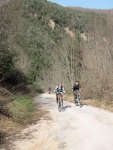 IMG_6512_800x600.jpg
