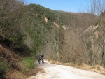 IMG_6511_800x600.jpg