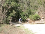 IMG_6509_800x600.jpg