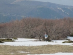 IMG_6542_800x600.jpg