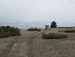 IMG_6537_800x600.jpg