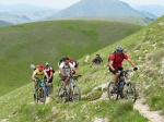 tn_img_3817.jpg